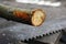 sawed apple tree branch on the background of a hand saw and sawdust in the spring garden