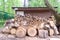 Sawed and chopped wood logs folded into a woodpile.