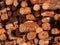 Sawed timber forestry logs background