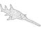 Sawfish coloring antistress, drawings black lines and white background. Nature, flowers. Raster