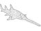 Sawfish coloring antistress, drawings black lines and white background. Nature, flowers. Vector