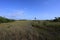 Sawgrass prairie in Everglades National Park, Florida.