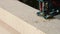 Sawing a board with an electric jigsaw in close-up. Carpentry on wood with a tool, sawdust flies, the saw cuts in a straight line.