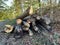 Sawing firewood in the forest with a chainsaw