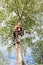 Sawing off large branches