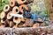 Sawing tree trunks during seasonal work in the garden