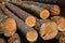 Sawlogs to produce general-purpose lumber