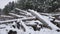 Sawmill logs of pine trees in snow winter forest Christmas nature tree landscape