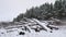Sawmill logs of pine trees in snow winter forest Christmas tree nature landscape