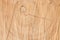 Sawn wood texture as background