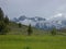 Sawtooth Meadows - Idaho