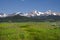 Sawtooth Mountains and Wildflowers 1895