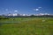 Sawtooth Mountains and Wildflowers 1903