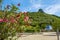 Saxon vineyard overlooking the historic Pavillon `Jakobstein