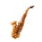 Saxophone - Golden alto saxophone classical