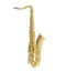 Saxophone - Side View