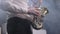 Saxophonist playing at a live concert, fingers closeup. Live performance. Jazz music. Saxophonist performing a solo in
