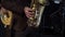 Saxophonist playing saxophone at stage. Sax musician player with band at concert