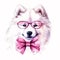 Say Cheese! This Smiling Samoyed Puppy with a Pink Bow and Glasses is the Perfect Watercolor Stock Photo for Your Design Projects