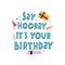 Say hooray itâ€™s your birthday. hand drawing lettering with gift boxes, decorative elements. Colorful holiday illustration. flat