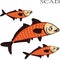 Scad fish color cartoon illustration.