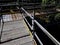 scaffolding surrounds the bridge, serving as a temporary footbridge.