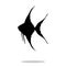 Scalare fish black silhouette aquatic animal