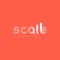 Scale with growing bar graph trendy mdoern logotype