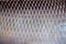 Scale texture with natural seamless patterns  of common silver carb fish