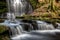 Scaleber Force falls