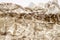 Scaled skin of snake on white background, macro photo. Reptile scale pattern. Shedded dry snake skin closeup.