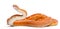 Scaleless Corn Snake, Pantherophis Guttatus