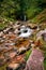 Scales Beck flowing from Scales Force