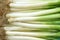 Scallions