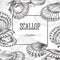 Scallop delicatesses seafood banner or frame, engraving vector illustration.