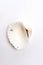 Scallop sea shell, white background.