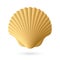 Scallop seashell