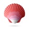 Scallop seashell