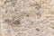 Scaly textured grayish sandstone background