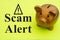 Scam Alert message with a gold piggy bank