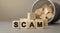 Scam - word concept from wooden blocks on desk