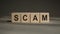 SCAM word made with building wooden blocks on gray