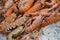 Scampi or Nephrops norvegicus on ice in fish shop.