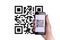 Scan pay. Hand holding mobile smartphone screen for payment pay, scan barcode technology with qr code scanner on digital smart