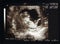 Scan on pregnancy, foetus