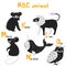 Scandi cute Animals set abc alphabet, set for kids abc elements in scandinavian style