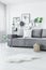 Scandi grey living room interior