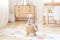 Scandinavian children`s room: a basket for toys, a plush rabbit sitting on a chair, a cradle for a baby bed. Modern interior of a