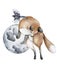 Scandinavian illustrations fox animal with moon. Realistic illustration for design, logo, card