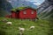 Scandinavian panorama with norway grassroof house and sheeps around it